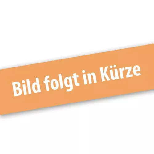Zündspule FX-LB152P